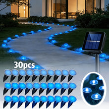 30-LED solar stake light glowing along a garden pathway at night