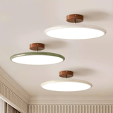 Kellan Ceiling Lights, 270° Swivel LED Ceiling Fixture, Sloped Ceiling Ready, Indoor