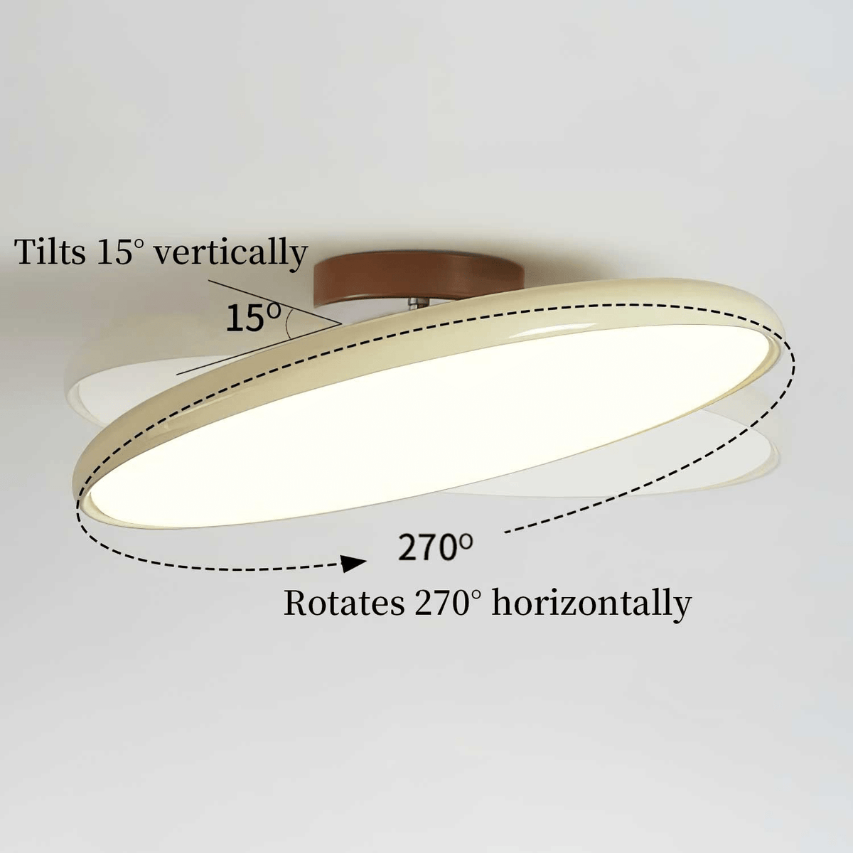 Kellan Ceiling Lights, 270° Swivel LED Ceiling Fixture, Sloped Ceiling Ready, Indoor