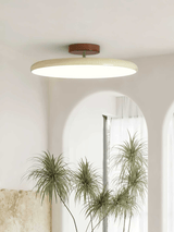 Kellan Ceiling Lights, 270° Swivel LED Ceiling Fixture, Sloped Ceiling Ready, Indoor