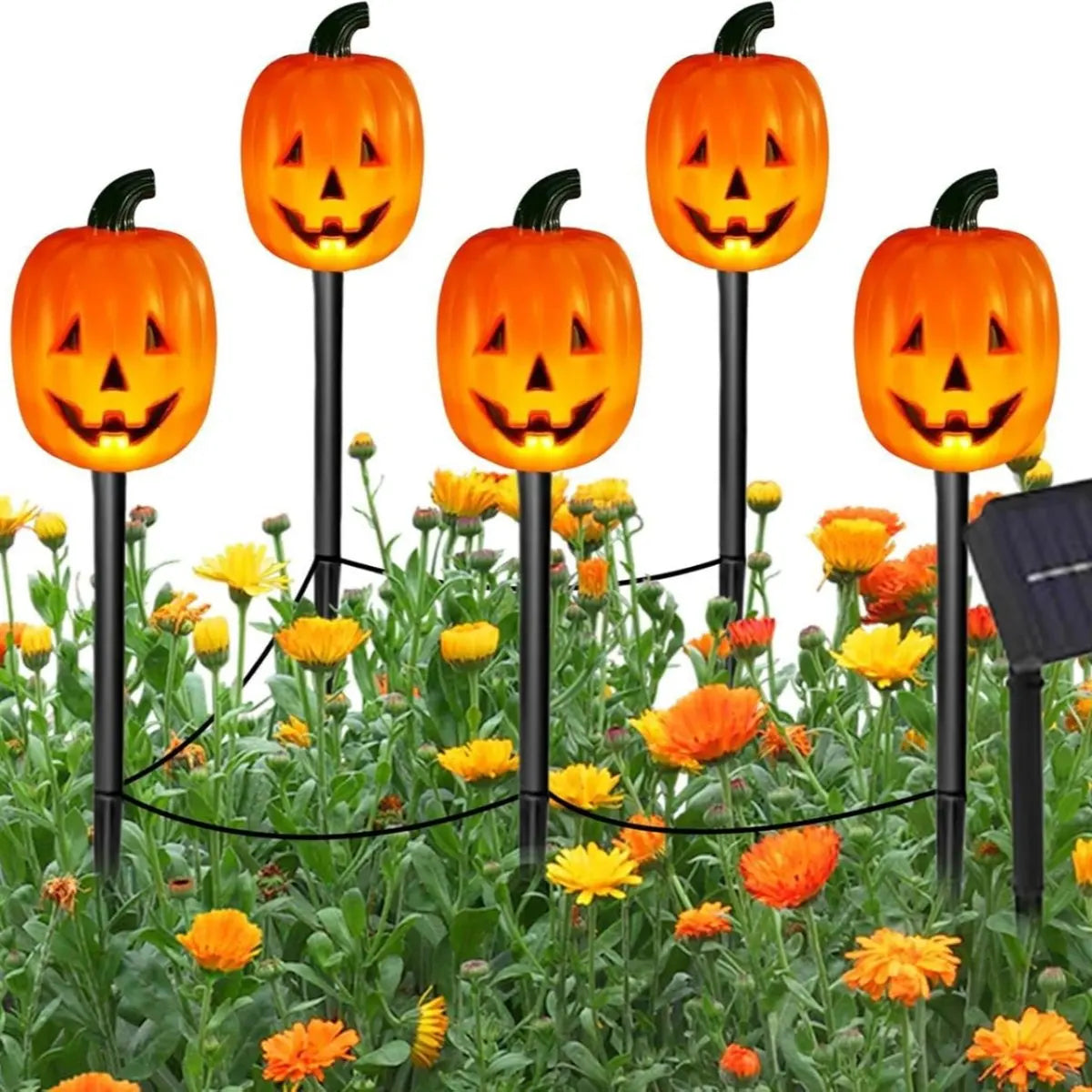 5-piece solar pumpkin and ghost light set during daytime
