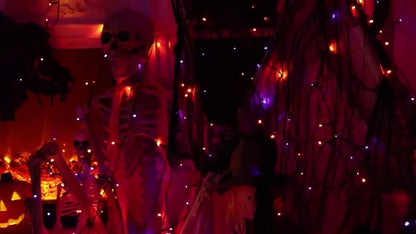 Solar Halloween string lights packaging