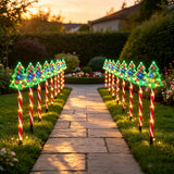 Solar stake lights set out along a front walkway at night