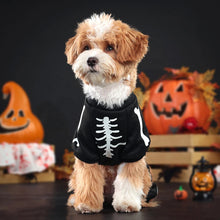 Dog wearing a skeleton jumpsuit Halloween costume