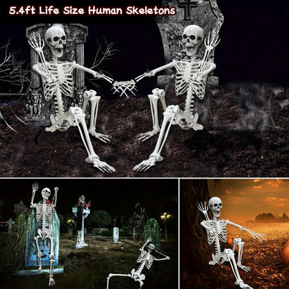 Life-Size Halloween Skeleton, 5.4 ft, Posable Plastic Figure with Movable Joints