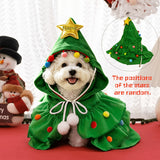 Pet outfit name detail
