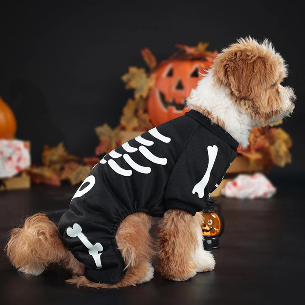 Skeleton dog costume glowing green in low light