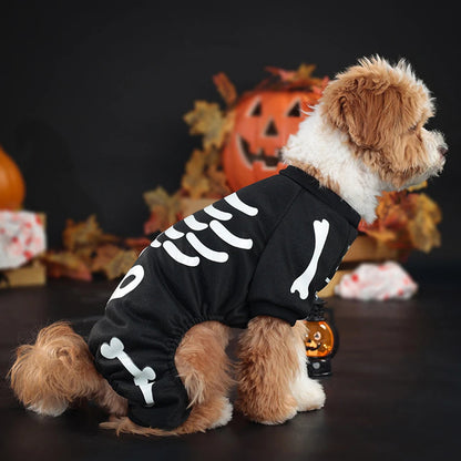 Skeleton dog costume glowing green in low light