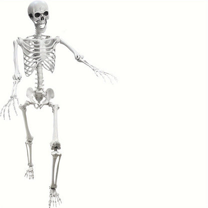Life-Size Halloween Skeleton, 5.4 ft, Posable Plastic Figure with Movable Joints