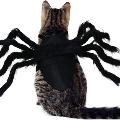 Spider costume laid flat showing the harness strap