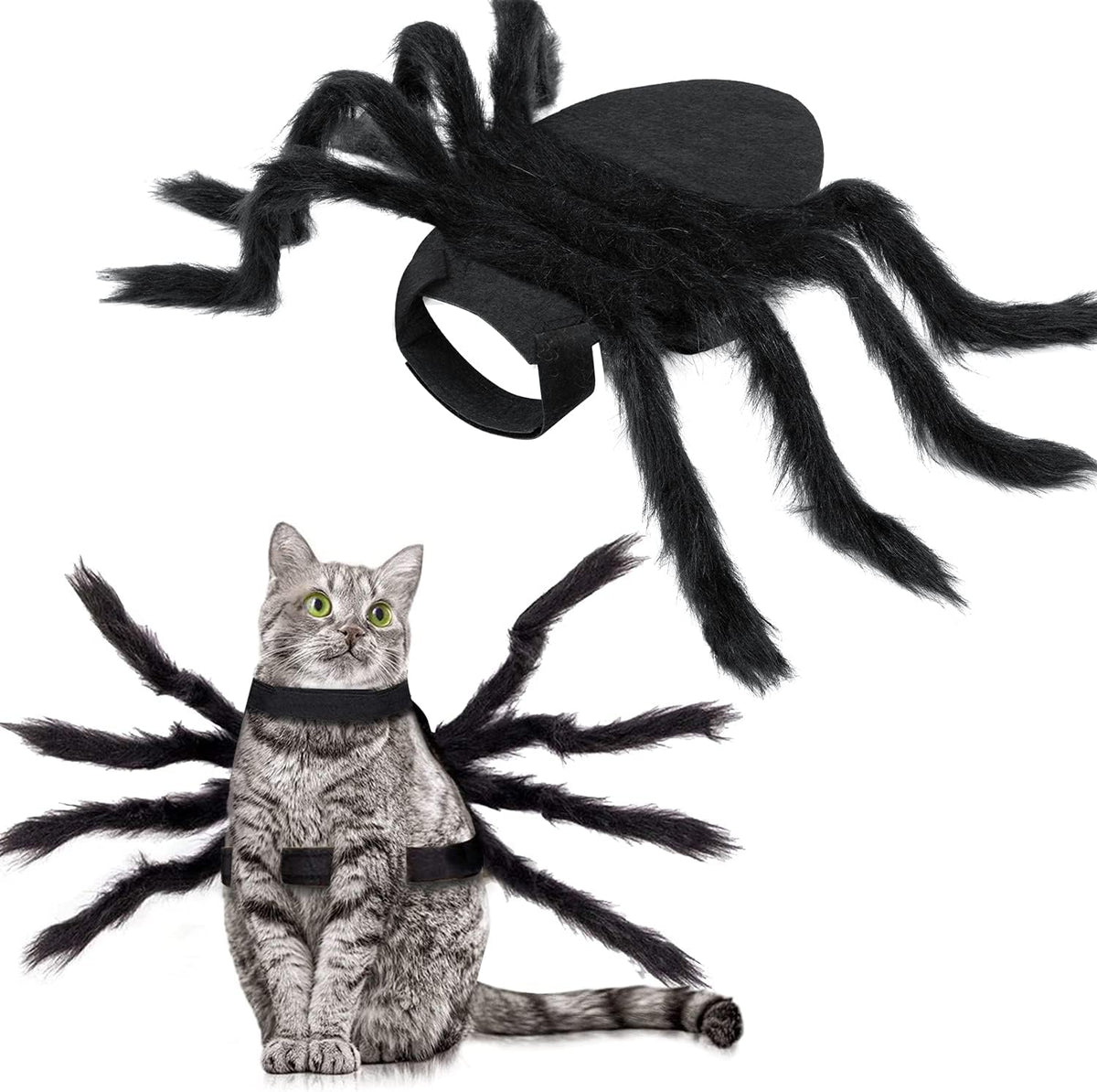 Black spider Halloween costume with 8 simulated legs for cats and small dogs