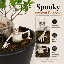 Halloween Crawling Skull Garden Ornament - Outdoor Yard Decoration