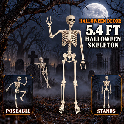 Life-Size Halloween Skeleton, 5.4 ft, Posable Plastic Figure with Movable Joints