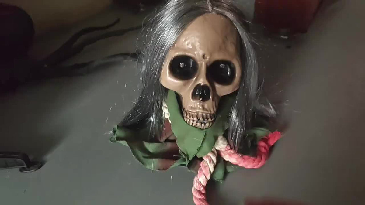 Animated skull prop packaging view