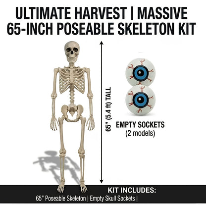Life-Size Halloween Skeleton, 5.4 ft, Posable Plastic Figure with Movable Joints