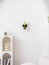 Tavo Double Wall Sconce, Double Wall Lamp with Colored Canopy, 4.7 x 7.9 in, 16 Color Options