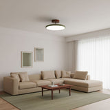 Kellan Ceiling Lights, 270° Swivel LED Ceiling Fixture, Sloped Ceiling Ready, Indoor