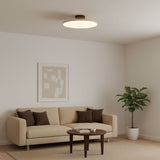 Kellan Ceiling Lights, 270° Swivel LED Ceiling Fixture, Sloped Ceiling Ready, Indoor