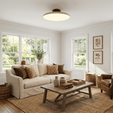 Kellan Ceiling Lights, 270° Swivel LED Ceiling Fixture, Sloped Ceiling Ready, Indoor