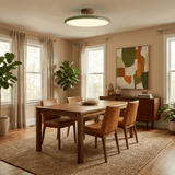 Kellan Ceiling Lights, 270° Swivel LED Ceiling Fixture, Sloped Ceiling Ready, Indoor