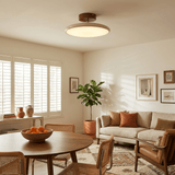 Kellan Ceiling Lights, 270° Swivel LED Ceiling Fixture, Sloped Ceiling Ready, Indoor