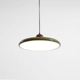 Eira Swag Lamp, Plug-In Pendant Swag Light Fixture, Hanging Ceiling Light with 2 Hooks