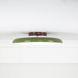 Kellan Ceiling Lights, 270° Swivel LED Ceiling Fixture, Sloped Ceiling Ready, Indoor