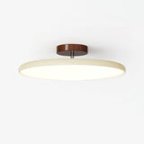 Kellan Ceiling Lights, 270° Swivel LED Ceiling Fixture, Sloped Ceiling Ready, Indoor