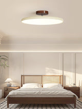 Kellan Ceiling Lights, 270° Swivel LED Ceiling Fixture, Sloped Ceiling Ready, Indoor