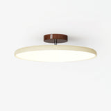 Kellan Ceiling Lights, 270° Swivel LED Ceiling Fixture, Sloped Ceiling Ready, Indoor
