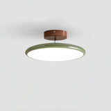 Kellan Ceiling Lights, 270° Swivel LED Ceiling Fixture, Sloped Ceiling Ready, Indoor