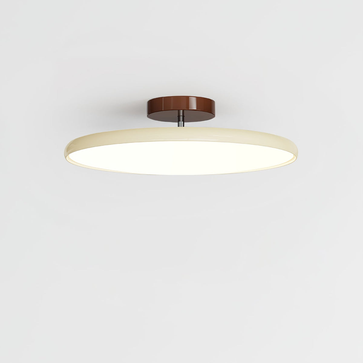 Kellan Ceiling Lights, 270° Swivel LED Ceiling Fixture, Sloped Ceiling Ready, Indoor