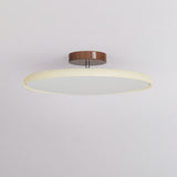 Kellan Ceiling Lights, 270° Swivel LED Ceiling Fixture, Sloped Ceiling Ready, Indoor