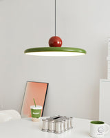 Eira Swag Lamp, Plug-In Pendant Swag Light Fixture, Hanging Ceiling Light with 2 Hooks