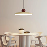 Eira Swag Lamp, Plug-In Pendant Swag Light Fixture, Hanging Ceiling Light with 2 Hooks