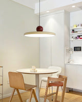 Eira Swag Lamp, Plug-In Pendant Swag Light Fixture, Hanging Ceiling Light with 2 Hooks