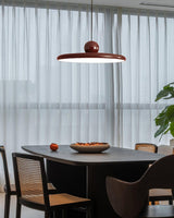 Eira Swag Lamp, Plug-In Pendant Swag Light Fixture, Hanging Ceiling Light with 2 Hooks
