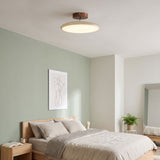 Kellan Ceiling Lights, 270° Swivel LED Ceiling Fixture, Sloped Ceiling Ready, Indoor