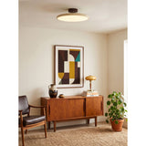 Kellan Ceiling Lights, 270° Swivel LED Ceiling Fixture, Sloped Ceiling Ready, Indoor