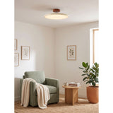 Kellan Ceiling Lights, 270° Swivel LED Ceiling Fixture, Sloped Ceiling Ready, Indoor