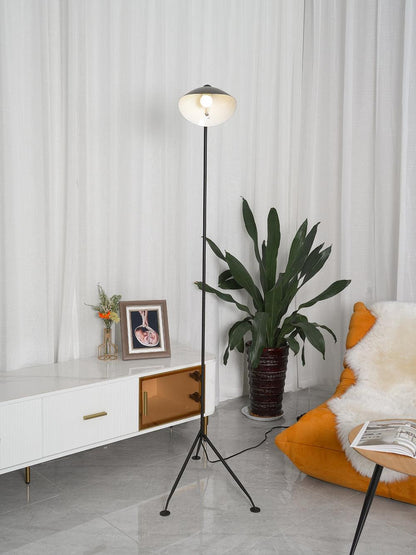 Arm Spider Modern Arc Floor Lamp, Rotating Metal Arm, Brass & Black Finish, Plug-In