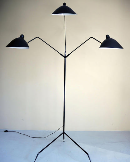 Arm Spider Modern Arc Floor Lamp, Rotating Metal Arm, Brass & Black Finish, Plug-In