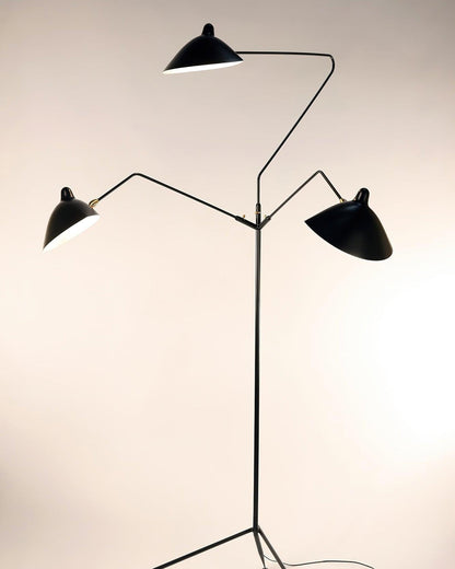 Arm Spider Modern Arc Floor Lamp, Rotating Metal Arm, Brass & Black Finish, Plug-In