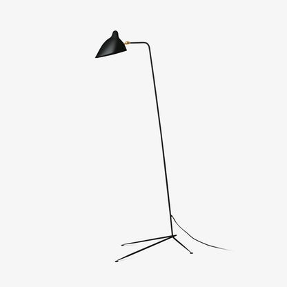 Arm Spider Modern Arc Floor Lamp, Rotating Metal Arm, Brass & Black Finish, Plug-In