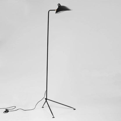 Arm Spider Modern Arc Floor Lamp, Rotating Metal Arm, Brass & Black Finish, Plug-In