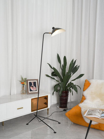 Arm Spider Modern Arc Floor Lamp, Rotating Metal Arm, Brass & Black Finish, Plug-In