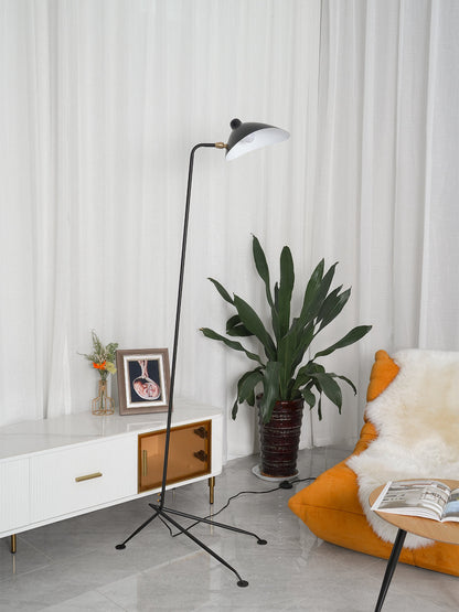 Arm Spider Modern Arc Floor Lamp, Rotating Metal Arm, Brass & Black Finish, Plug-In