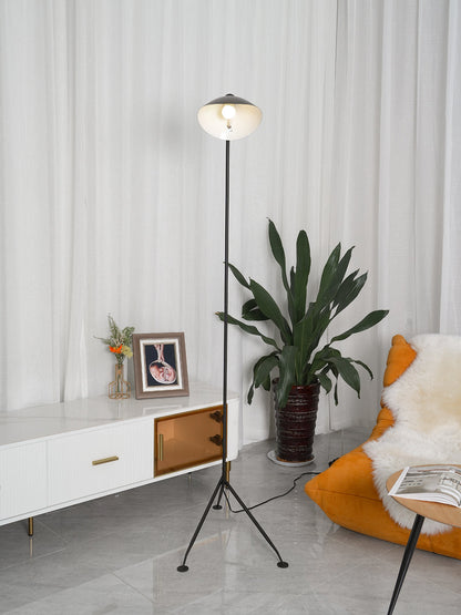 Arm Spider Modern Arc Floor Lamp, Rotating Metal Arm, Brass & Black Finish, Plug-In