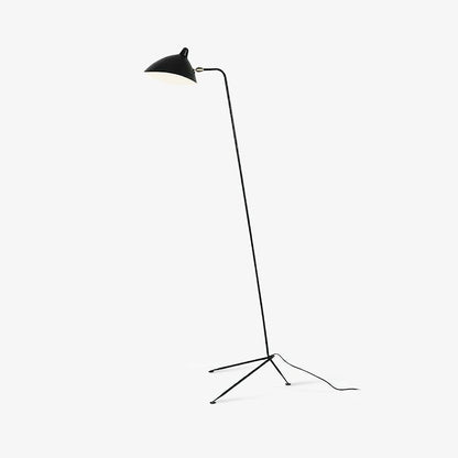 Arm Spider Modern Arc Floor Lamp, Rotating Metal Arm, Brass & Black Finish, Plug-In