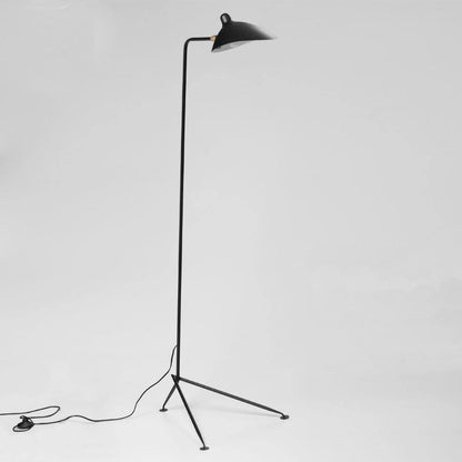 Arm Spider Modern Arc Floor Lamp, Rotating Metal Arm, Brass & Black Finish, Plug-In